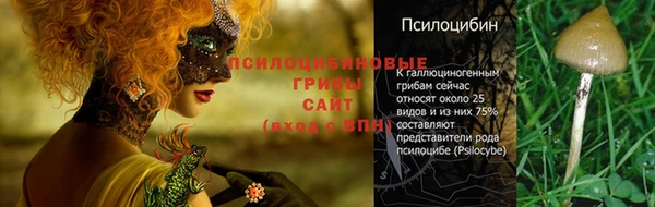 apvp Дмитровск