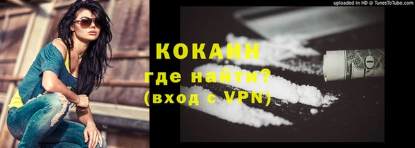 прущий лед Дмитриев