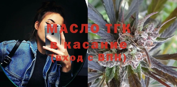 2c-b Ельня