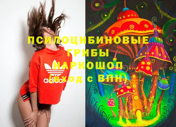2c-b Ельня