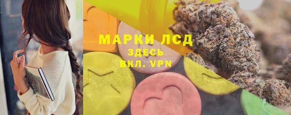 прущий лед Дмитриев