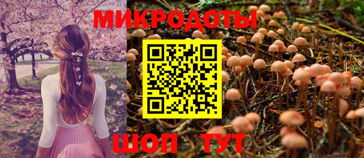Псилоцибиновые грибы мухоморы Сибай
